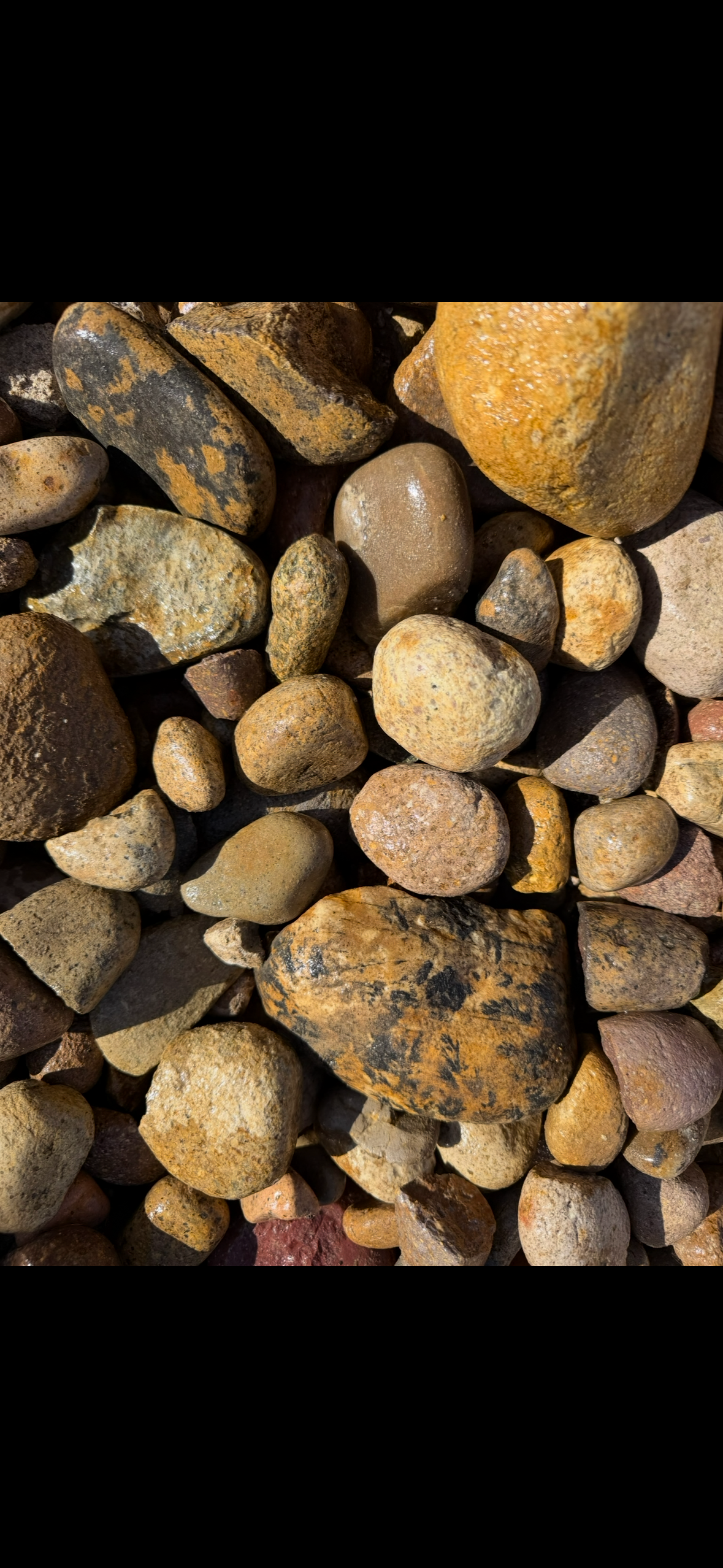 1–3" San Diego Cobble