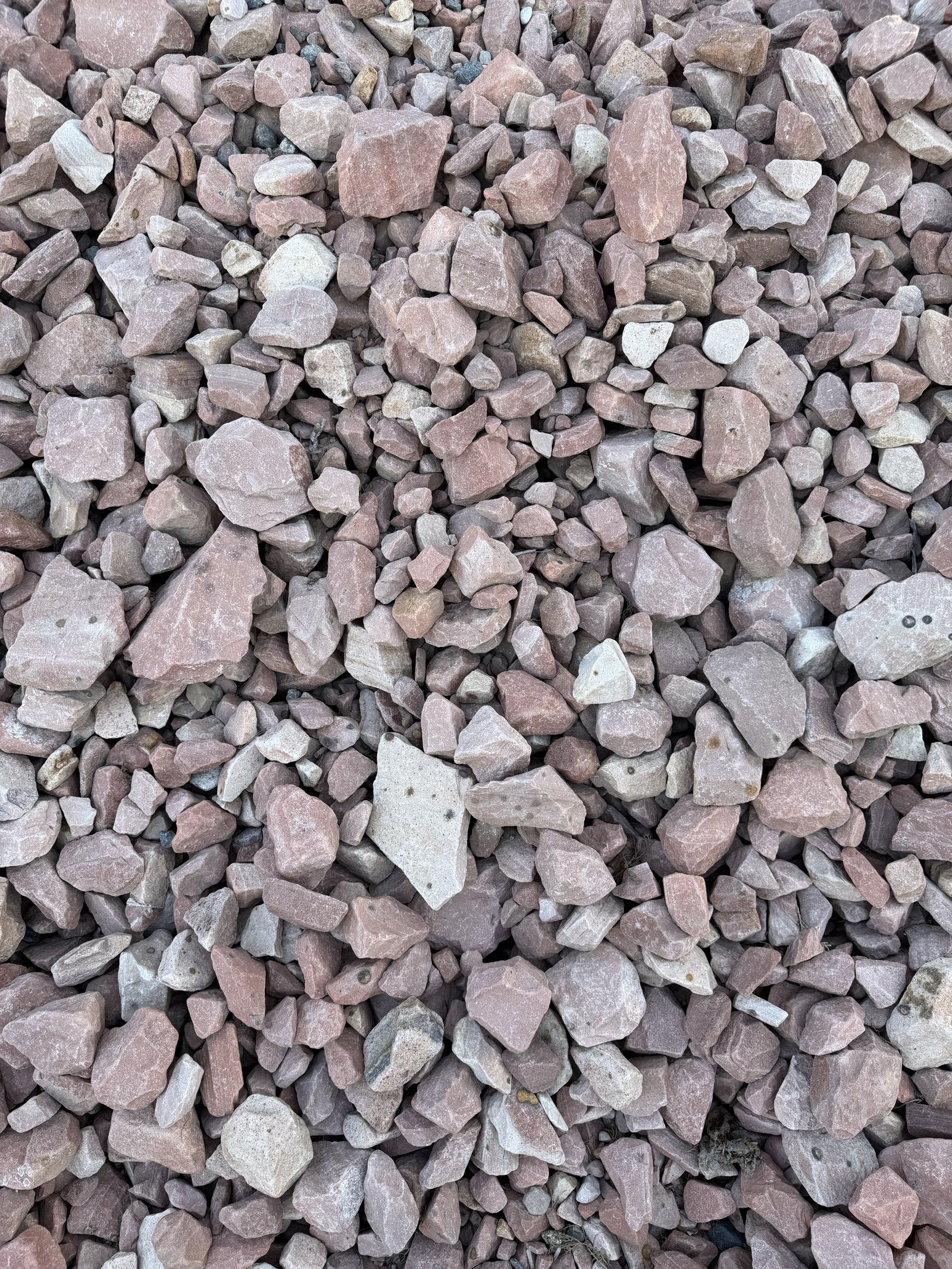 1"–3" Las Vegas Pink