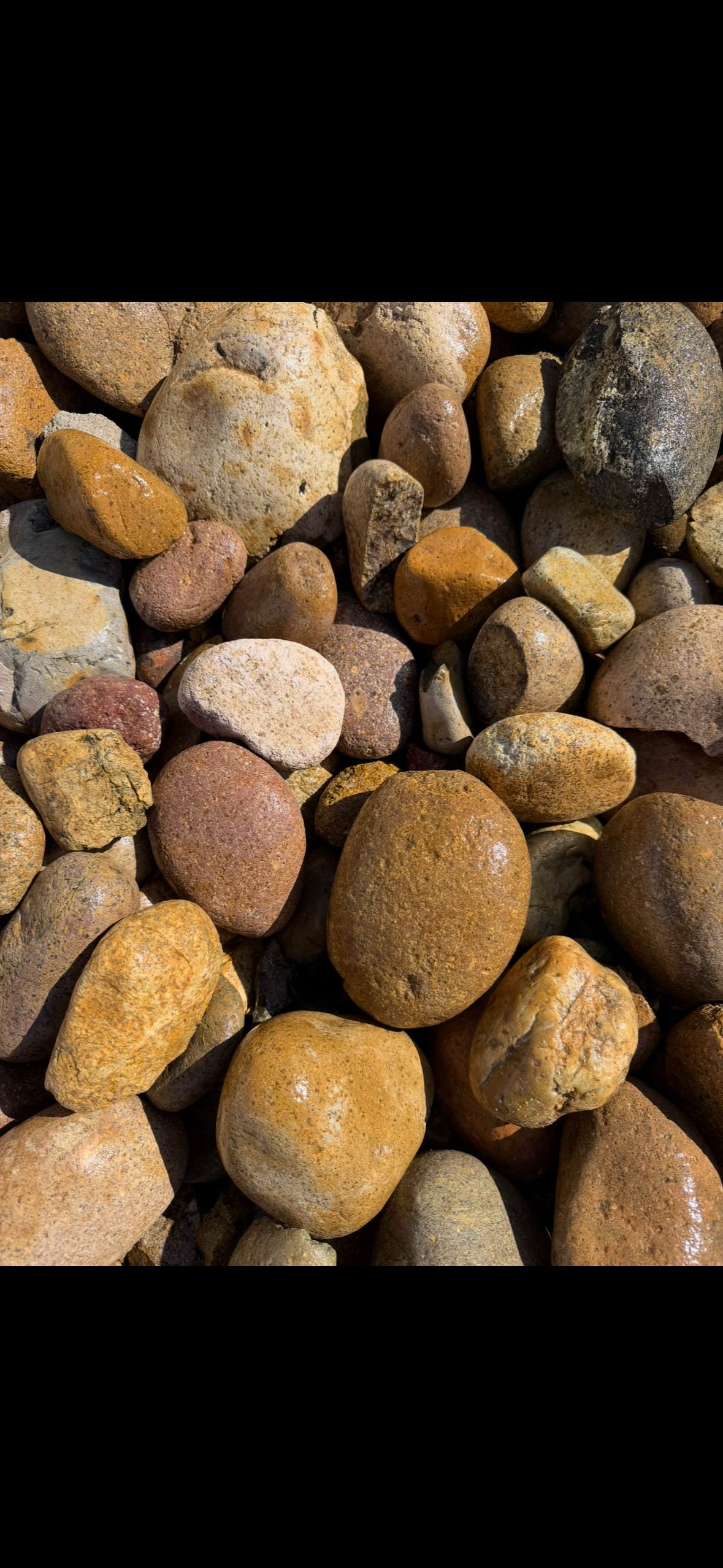 2–5" San Diego Cobble