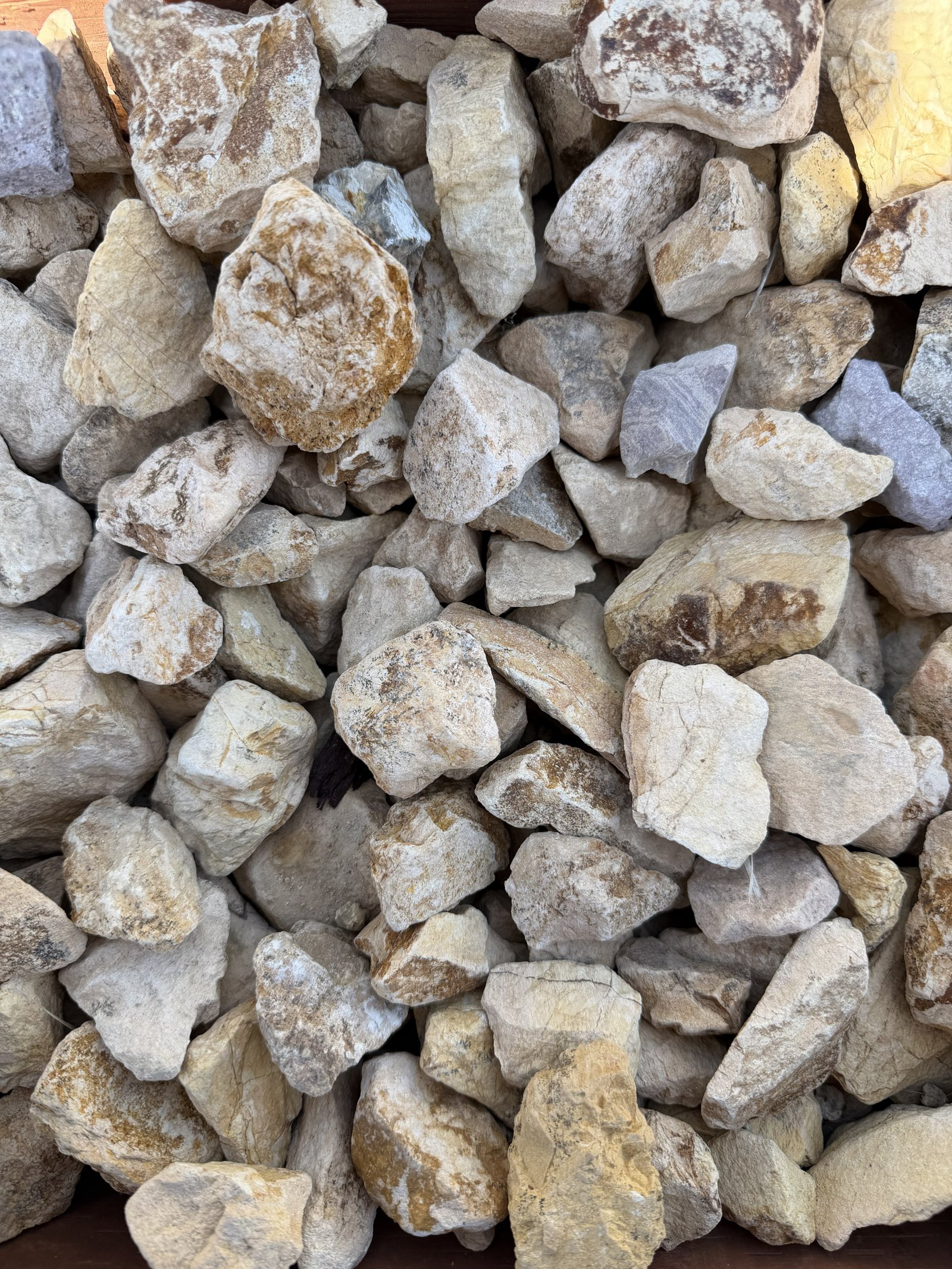 2–3" California Gold