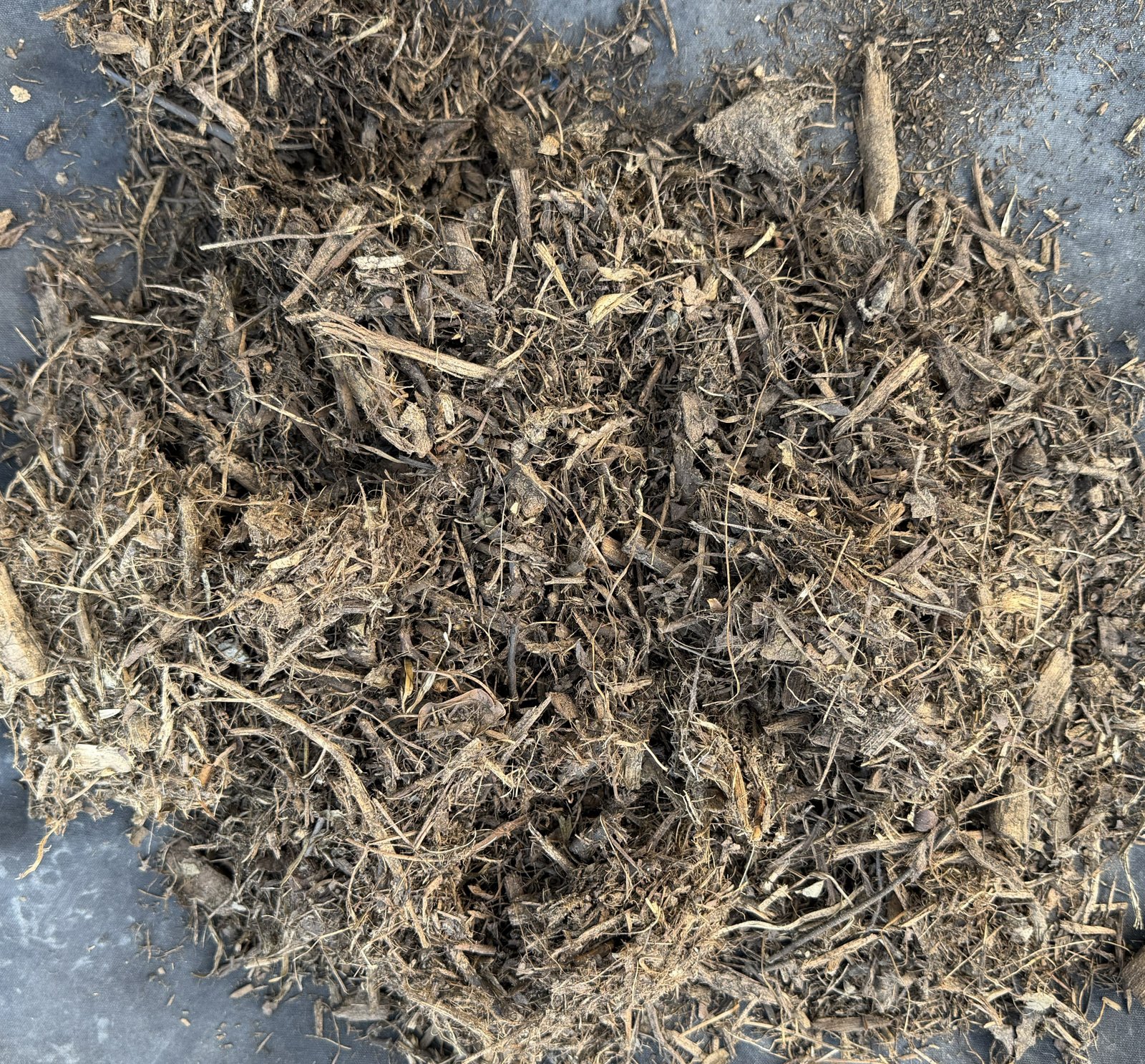 4" Bark