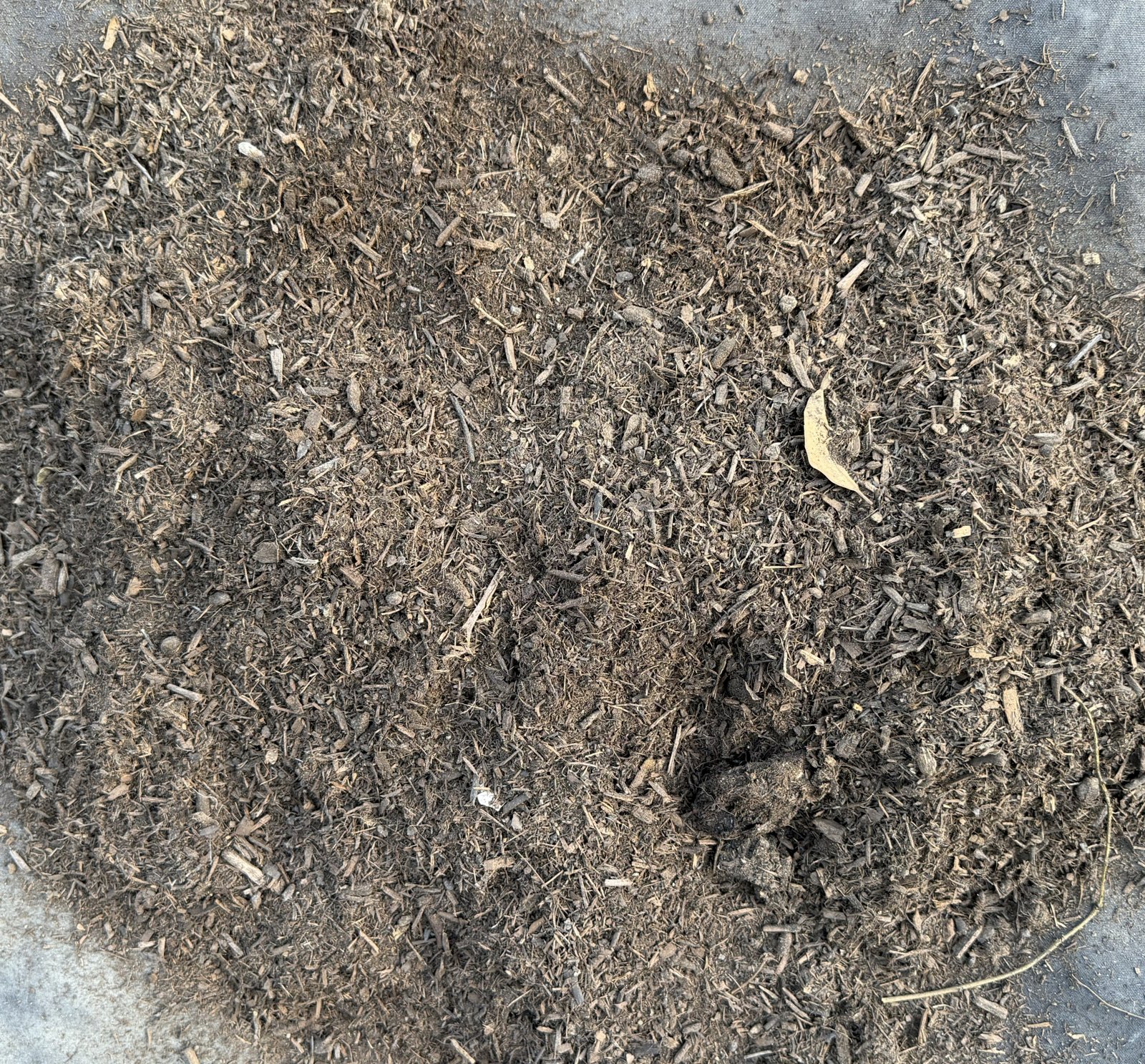 Compost / Amended Topsoil