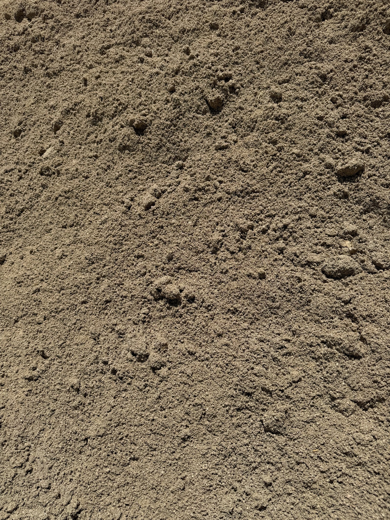 Washed Masonry / Plaster Sand